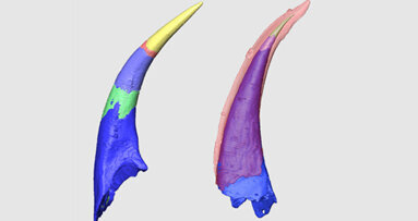 Die Ursprünge der ersten Fische mit „Zähnen“