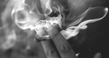 New Zealanders say no to legal cannabis, but does prohibition improve oral health?