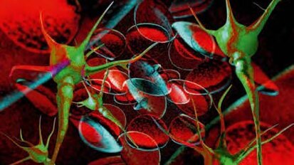 Onaj koji se najbolje prilagodi promjeni, onaj je koji preživljava