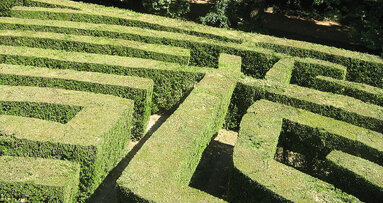 Tandheelkundige polissen 2013 vaak niet transparant