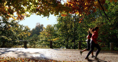 Il wellness nella professione del dentista
