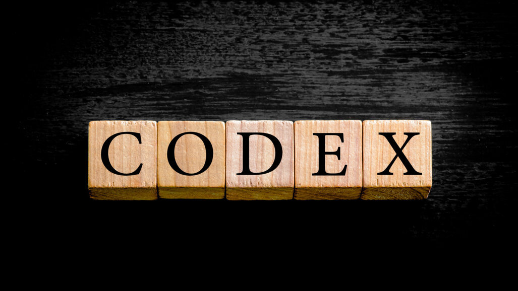 DGZMK verabschiedet Codex der Zahnärzteschaft