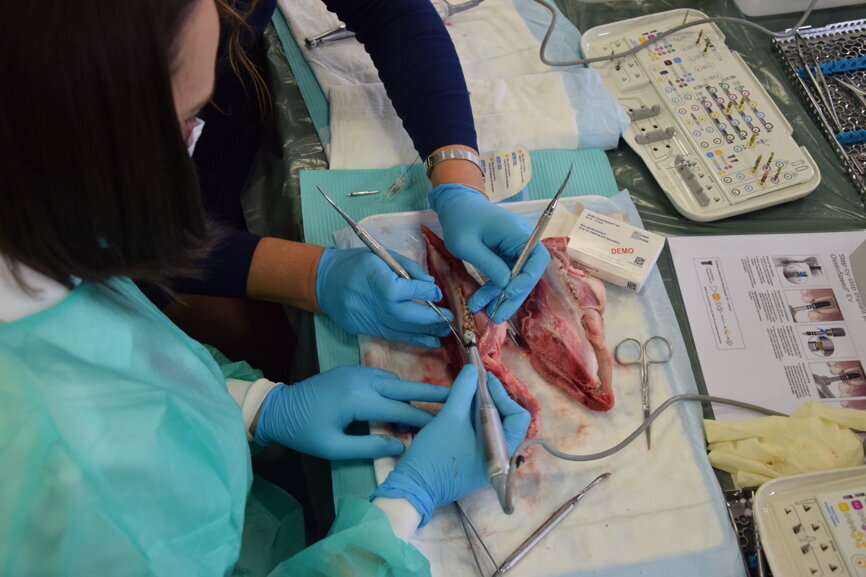 (Photograph: Franziska Beier, DTI) 