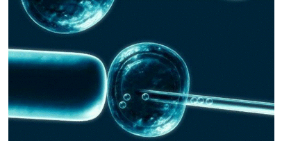 Pulpe dentaire pour les banques de cellules souches !