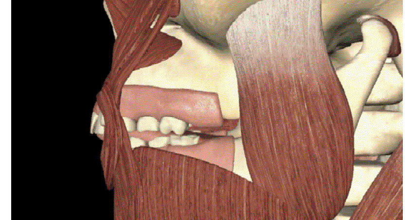 Troubles de l'ATM et orthodontie