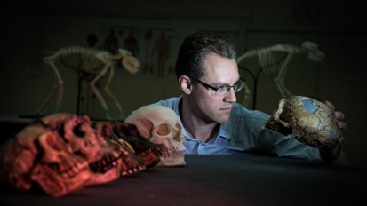 Los dientes pueden predecir la evolución Los dientes pueden predecir la evolución