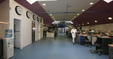 Entrevista con Jesús García Urbano, Director de Ortoplus