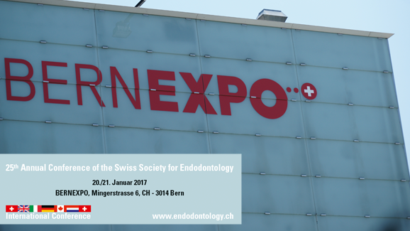 SSE-Jahrestagung 2017 findet im Januar in Bern statt