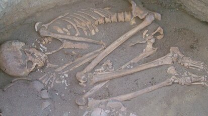 Tooth plaque provides insights into diet of prehistoric ancestors