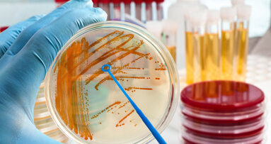 Studie: Zusammenhang von Zahnbehandlungen und Endokarditis