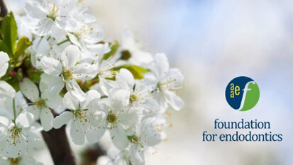 Foundation for Endodontics is providing COVID-19 relief grant to graduating residents