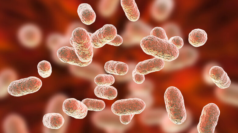 Periodontal disease bacterium appears to drive Alzheimer’s disease