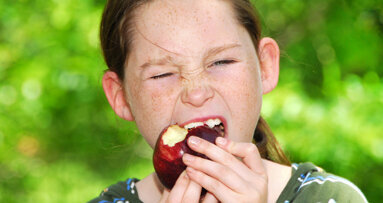 Eiweiße für Selbstheilung des Zahnschmelzes verantwortlich
