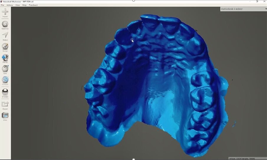 Fig. 10_Trasformazione da negativo in positivo mediante software free Meshmixer.