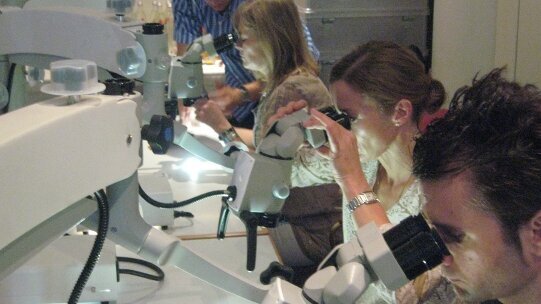 Wurzelkanalrevision in Theorie und Praxis