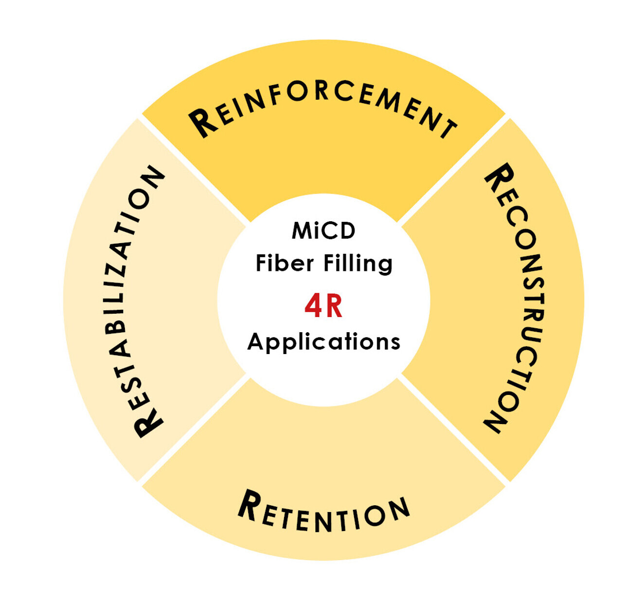 Fig. 2: MiCD Fiber Filling 4R applications: reinforcement (direct restorations, crowns, overlays and removable dentures), reconstruction (dentine substitute, post and core build-up, overdenture frame and adhesive bridges), retention (crowns, overlays, post-orthodontic retainer and space retainer) and re-stabilisation (periodontal splint and post-trauma splint).