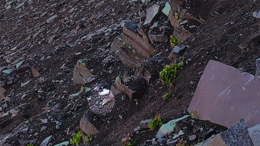 The VALO Grand curing light, resting where it was spotted by Simmons.