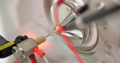 Forscher entdecken unbekannte Proteine des Herpesvirus