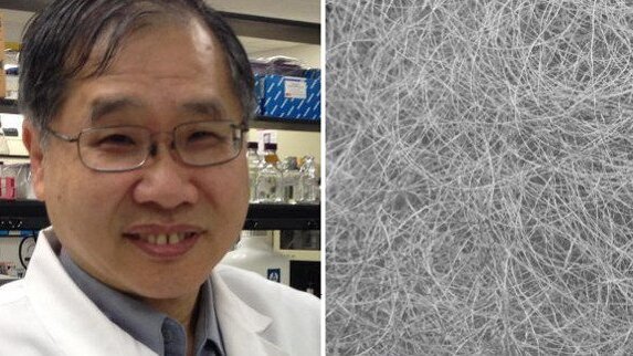 Тъканно инженерство: Копринени нишки биха могли да помогнат за регенeрацията на клетките на слюнчените жлези