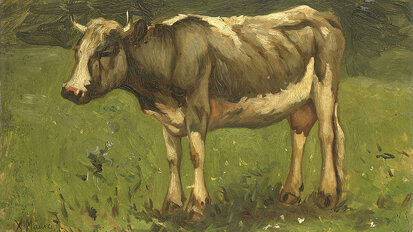 Weefsel van runderhart geschikt bij teruggetrokken tandvlees