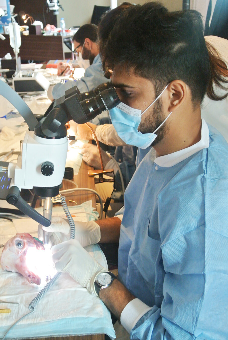 Microscope-powered hands-on training.
