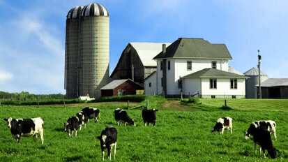 Bioengineers 'floss' bad gas from animal waste Bioengineers 'floss' bad gas from animal waste