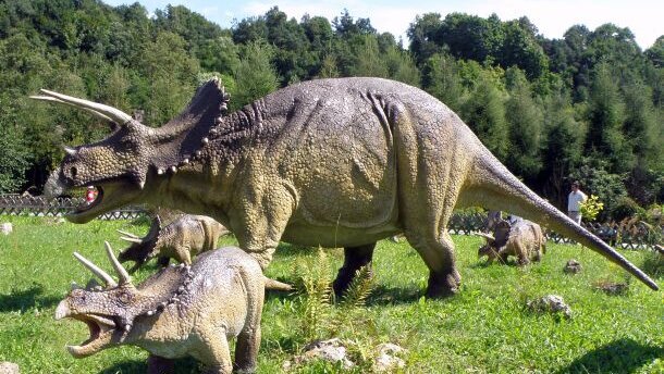 Triceratops had bijzonder modern gebit