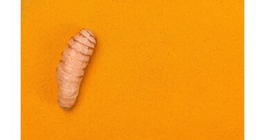 Curcumine biedt nieuwe mogelijkheden bij de behandeling van mondziekten en kanker