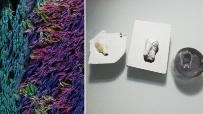 瑞士科学家制造出可完整模拟自然微观结构的仿生牙