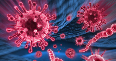 Immunzellen bekämpfen Parodontitis