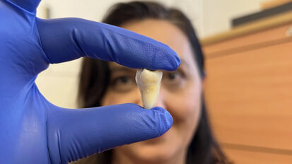New study offers advances in laboratory-grown teeth