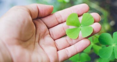 Column Stephan Tjiook: Patronen veranderen