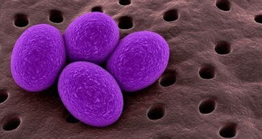 I microbi minacciano la salute dei pazienti ortodontici