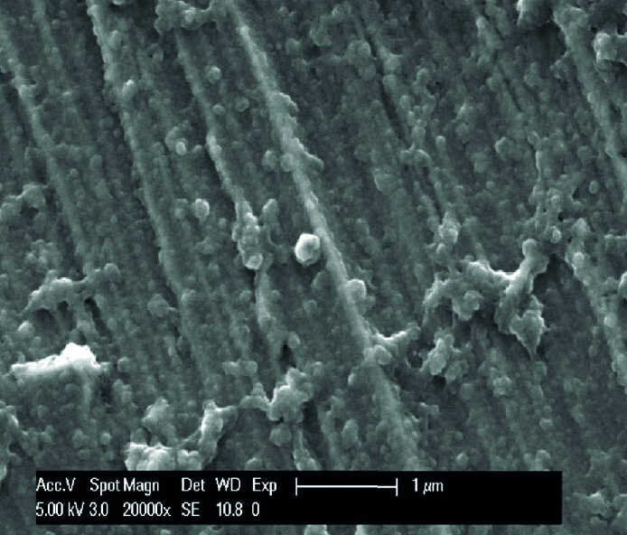 Fig. 10a : Micrographies sous un grossissement de 20 000 fois montrant la présence de la pellicule sur les échantillons de titane (a) et d’email (c) servant de contrôle par rapport au titane rince avec HAP II (b) et a l’email rince avec HAP III (d). Deux heures après l’exposition buccale ont ces solutions, les images prises sous plus fort grossissement permettent d’observer les structures de connexion entre la solution de HAP II et la surface en titane (b) et entre la solution de HAP III et la surface de l’email (d). Les HAP sont en contact direct avec des structures globulaires de la pellicule exogène acquise. Les flèches indiquent les ponts 