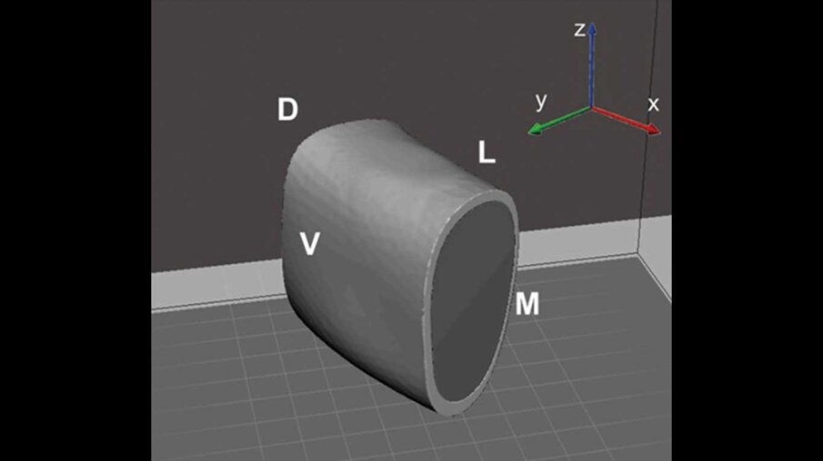 Fig. 1b_Sezione utilizzata per l’analisi FEM.