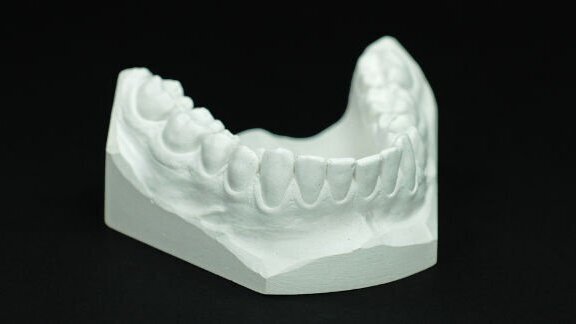 La forme de la mâchoire inférieure révèle les différences alimentaires