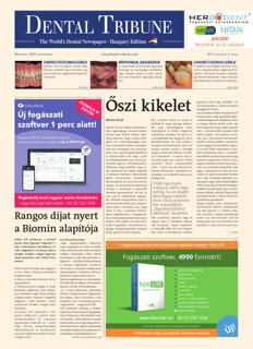 DT Hungary No. 3, 2019