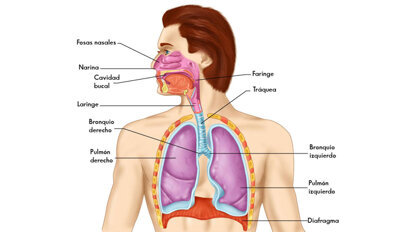 El papel de la inflamación en los trastornos del sueño