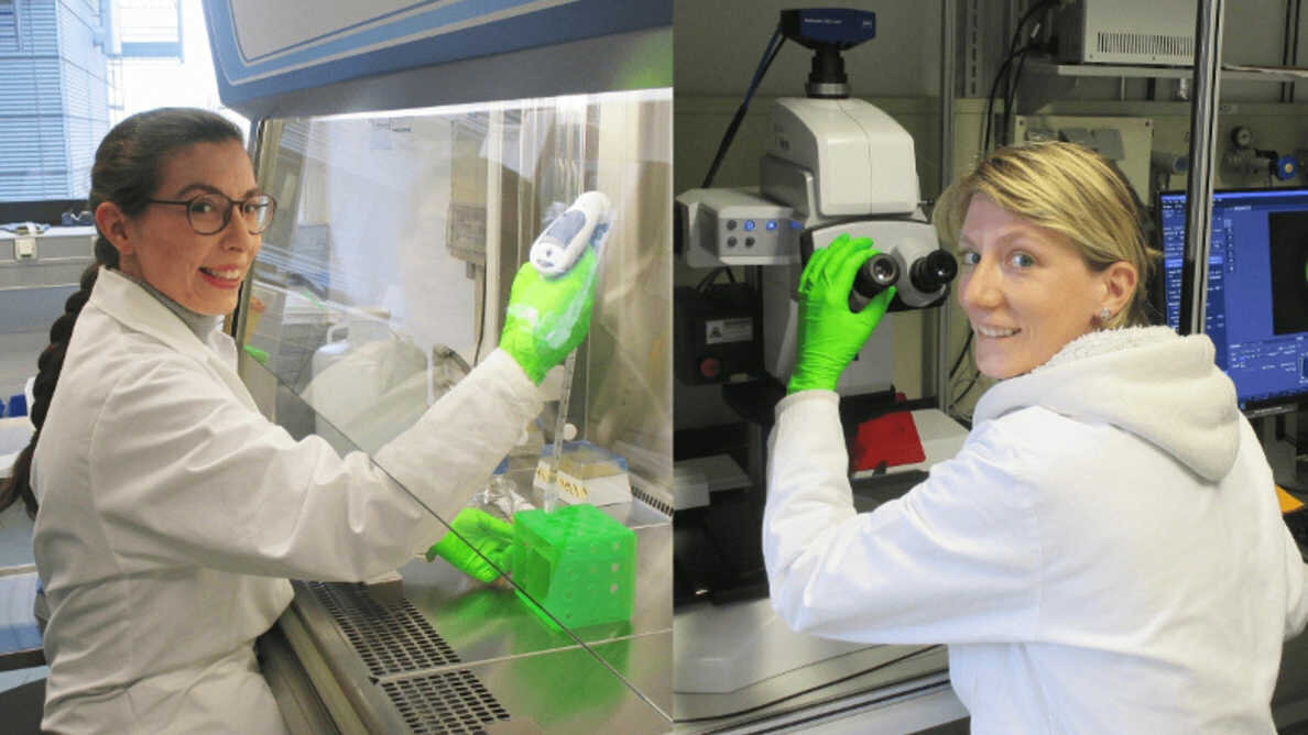 Badacze i stomatolodzy łączą siły, aby zwiększyć trwałość wypełnień dentystycznych