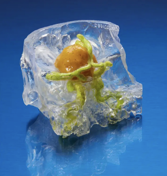 Clear Resin for Rigid, Translucent Models