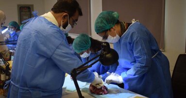 IADSR strengthens dentists' oral surgery skills through simulation-based goat-head workshop