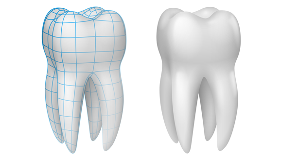 Amelotin: Entscheidend für Wachstum von Zahnschmelz