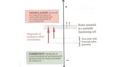 Fototerapia laserowa – nowy kierunek rozwoju stomatologii