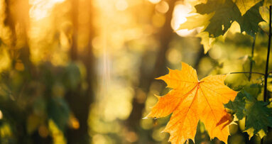 Vitamina D do sol e COVID-19: existe uma correlação?