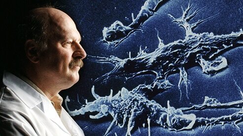 Researchers at University of British Columbia develop new weapon for hard-to-treat bacterial infections.