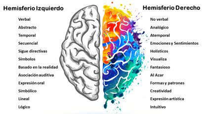 Hemisferios cerebrales: neuronas espejo y empatía