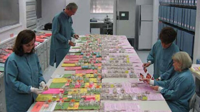 En busca del material de restauración perfecto En busca del material de restauración perfecto