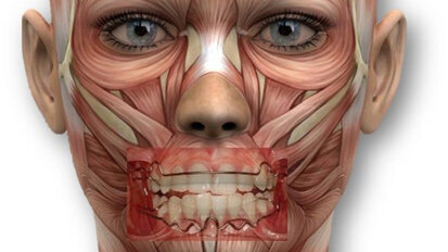 Los nuevos aparatos funcionales digitales