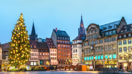 La papille, on vous dit tout!