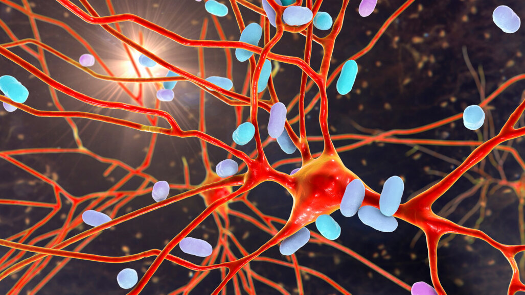 Nghiên cứu xác định vi khuẩn miệng làm giảm khả năng miễn dịch kháng vi rút trong khoang miệng